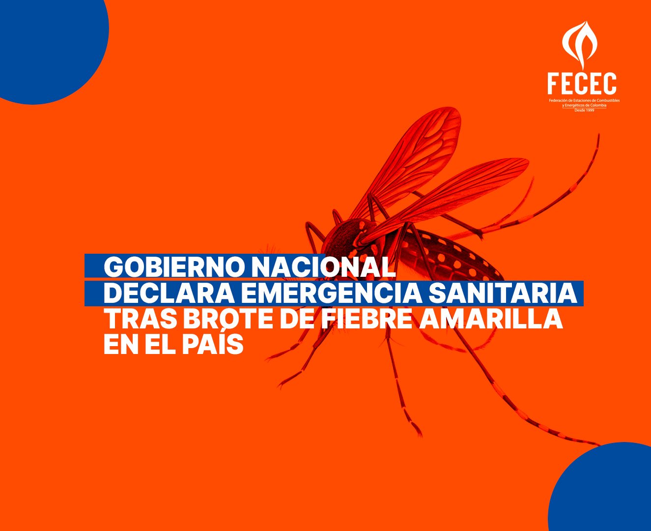 Gobierno declara la emergencia sanitaria por brote de Fiebre Amarilla – Salud pública